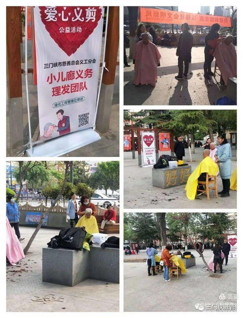 市綠化工程管理處 學黨史辦實事，優化工程管理服務惠民生